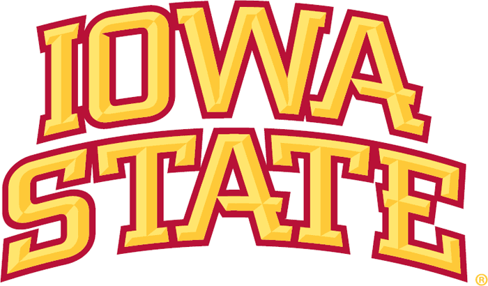 Iowa State Cyclones 2007-Pres Wordmark Logo iron on transfers for T-shirts
